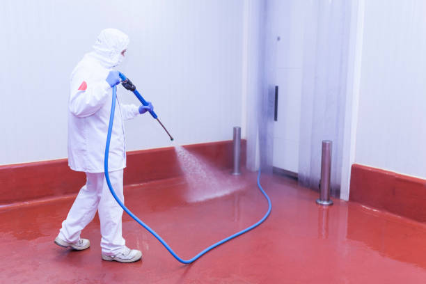 Best Restaurant Pressure Washing  in South Daytona, FL